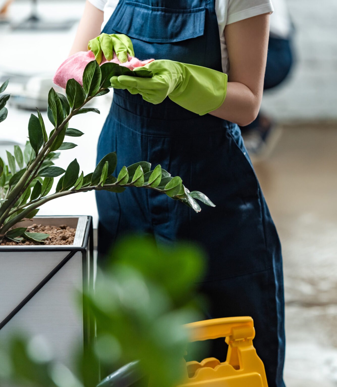 Ihr Partner für Sicherheitsdienste im HSK & Hessen – EPS Sicherheit 2 partial view of cleaner wiping office plants with 2024 11 17 15 59 22 utc 1 scaled e1759833609941